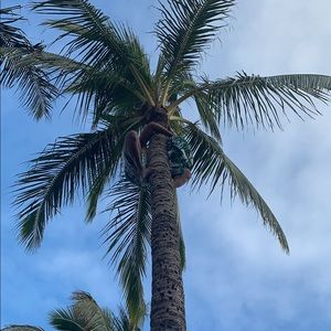 Meet your Posher, Erika